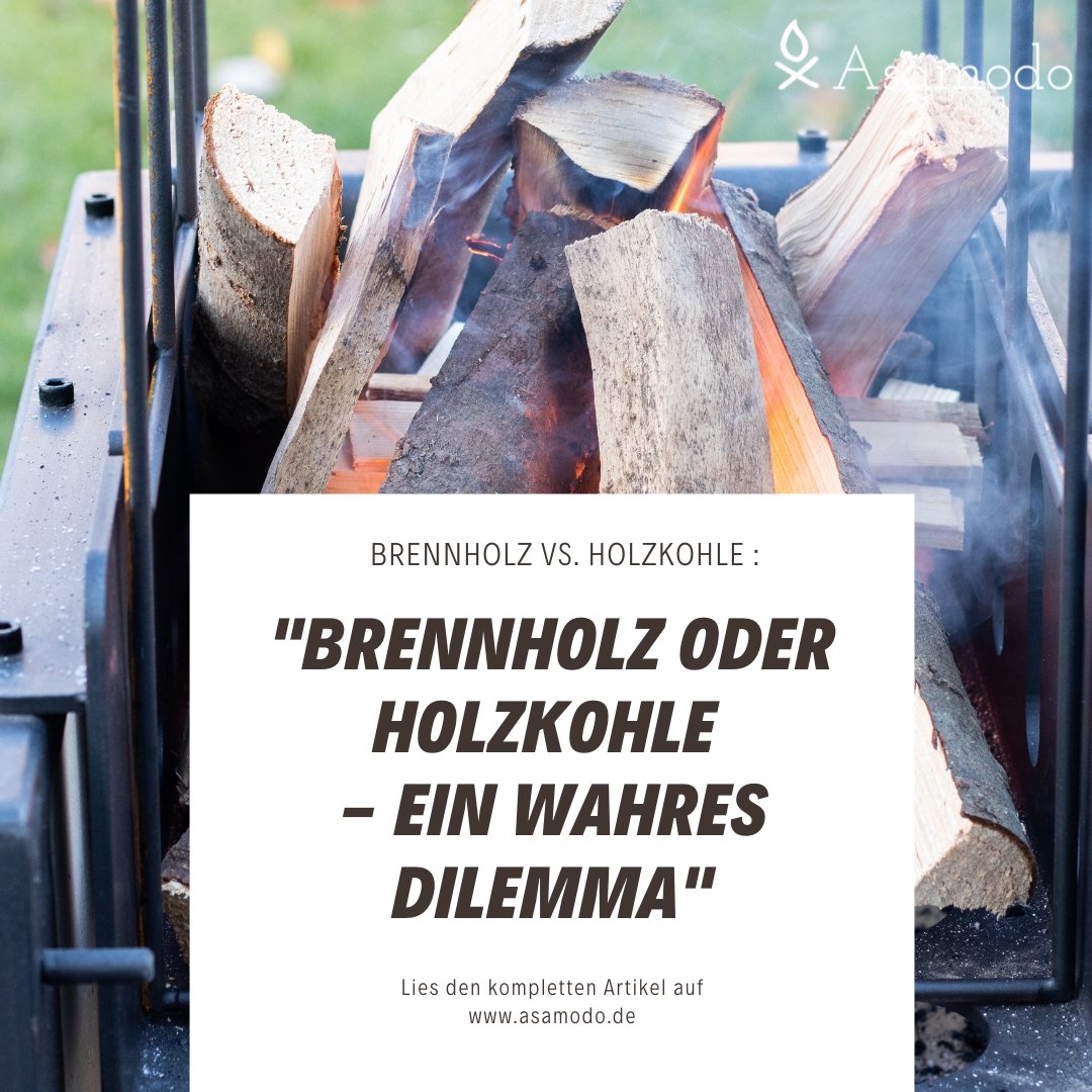Brennholz vs. Holzkohle - Was ist besser frs Asado-Grillen?